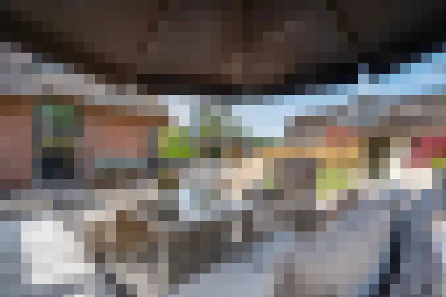 Petersteeg 3 Giethoorn thumbnail 48