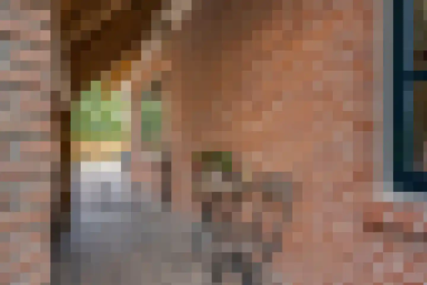 Petersteeg 3 Giethoorn thumbnail 8
