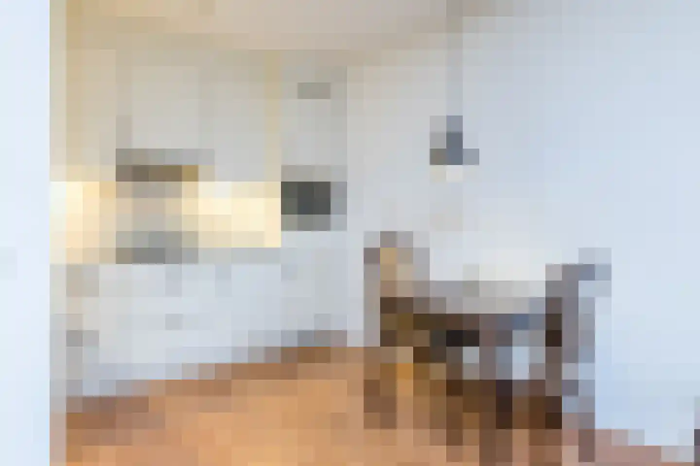 Peterstraat 3 A Munstergeleen thumbnail 13