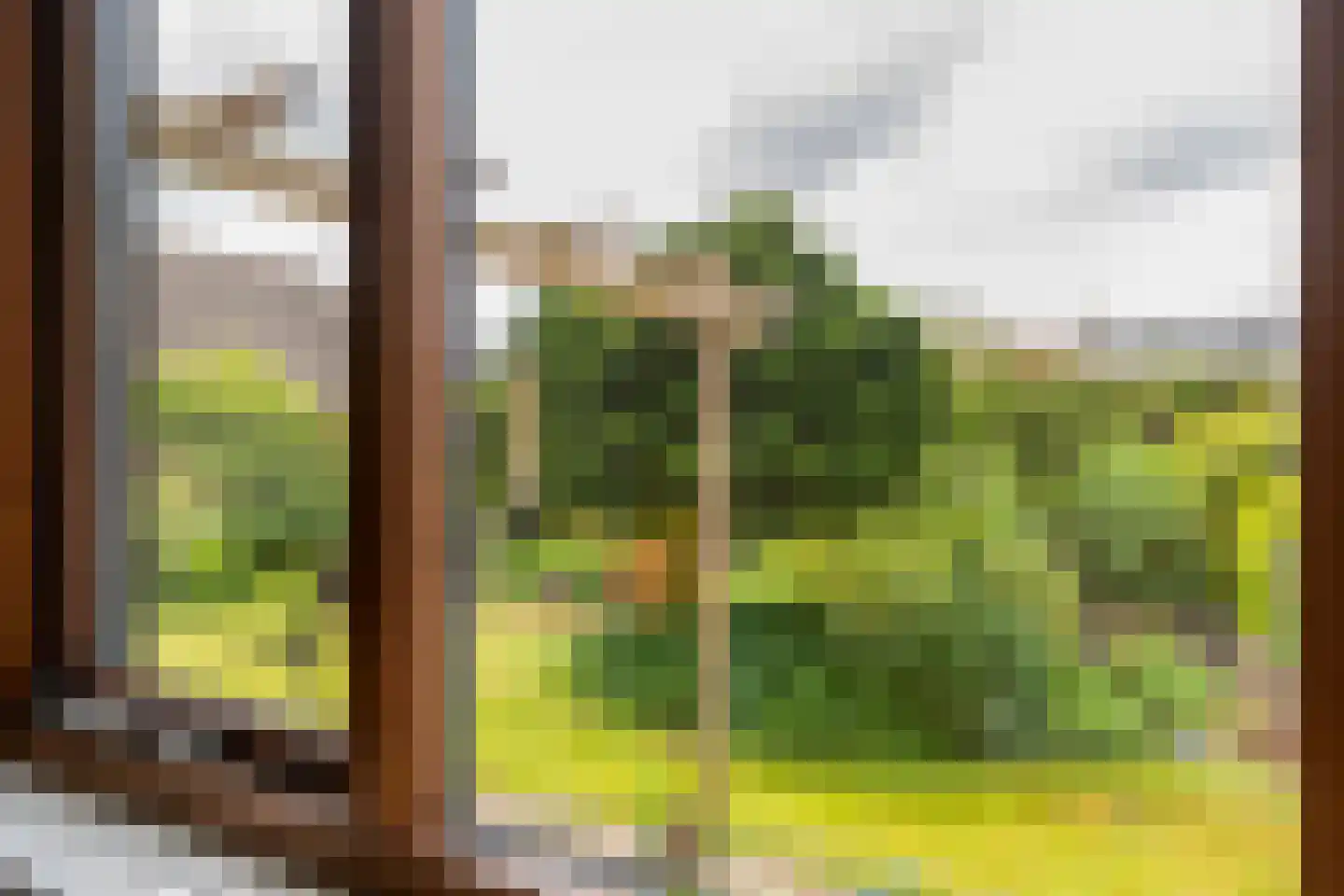Peterswijk 3 Dedemsvaart thumbnail 14