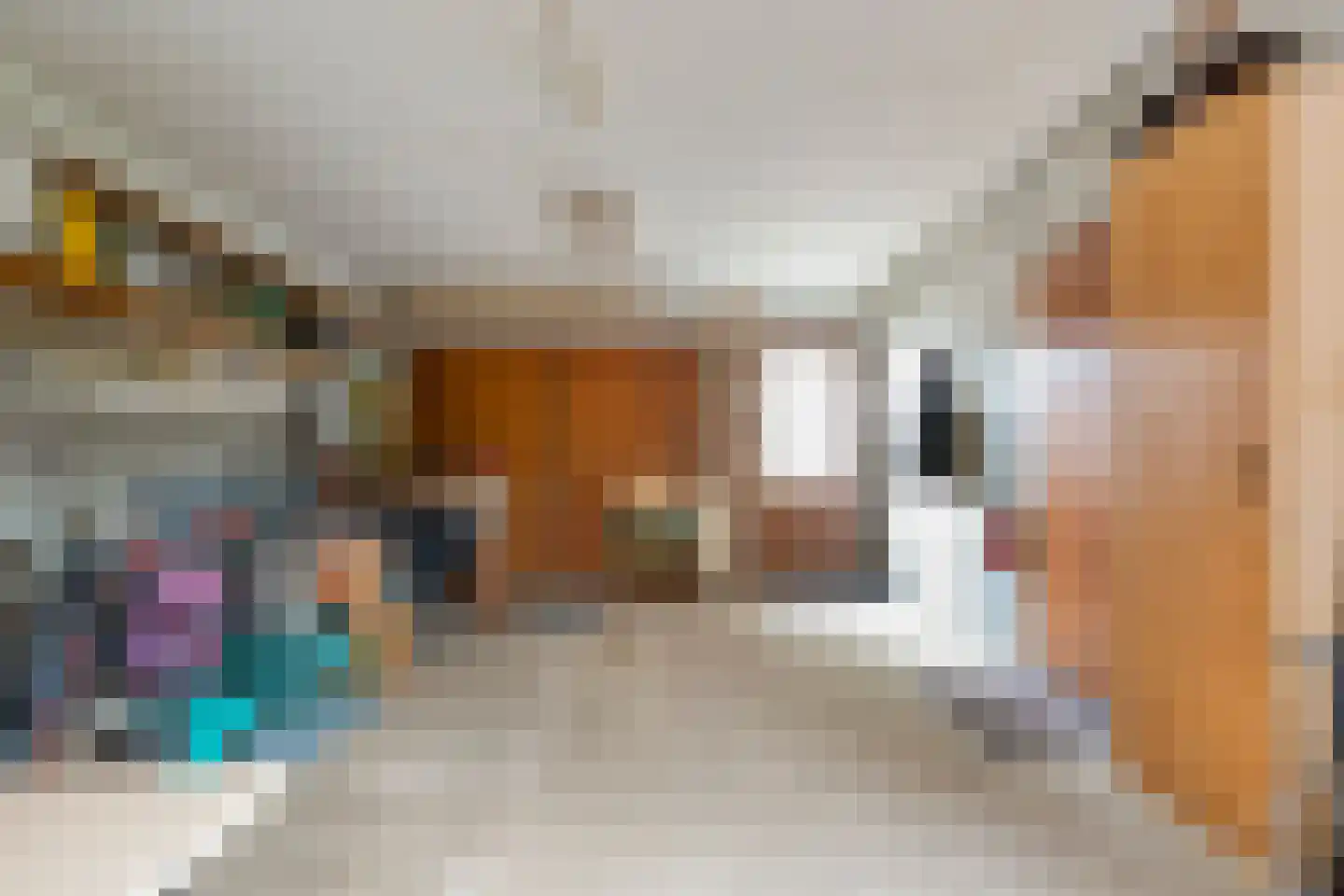 Peterswijk 3 Dedemsvaart thumbnail 21