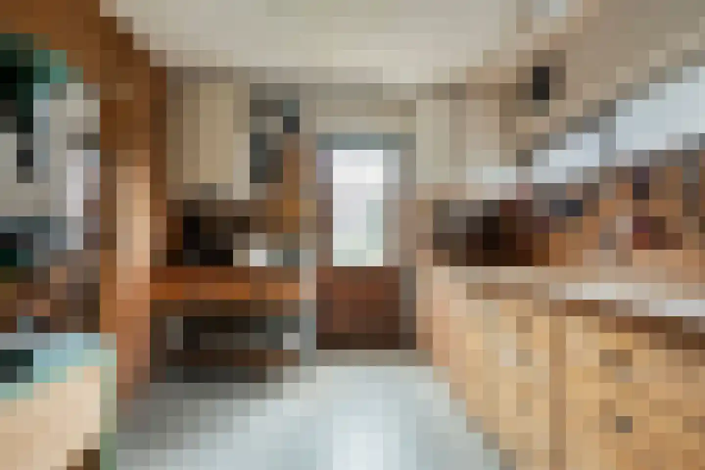 Peterswijk 3 Dedemsvaart thumbnail 22