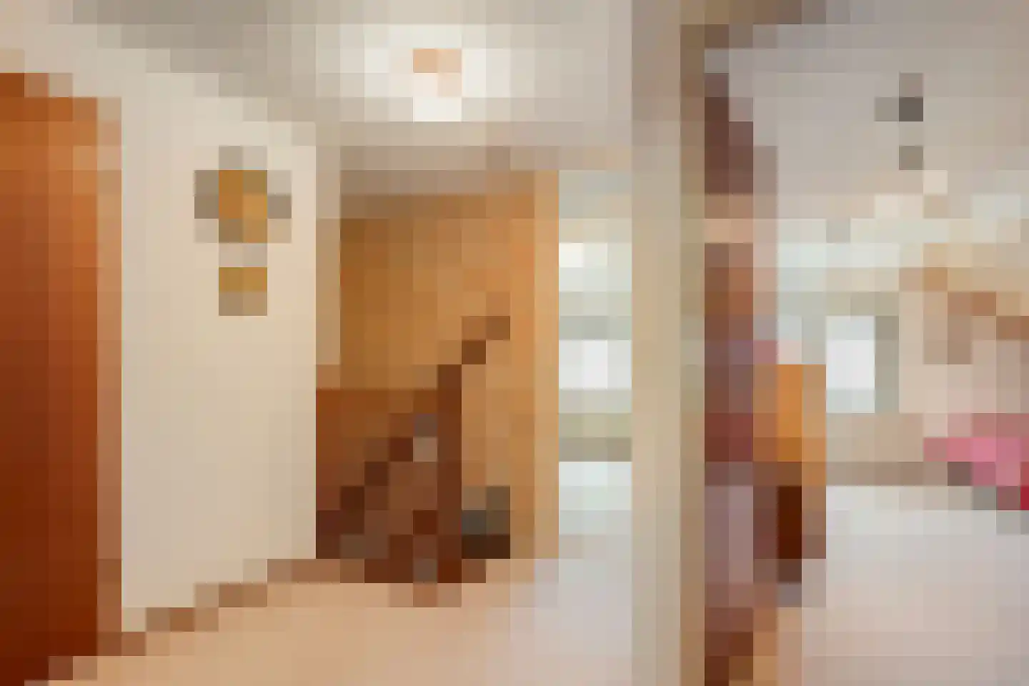 Peterswijk 3 Dedemsvaart thumbnail 23