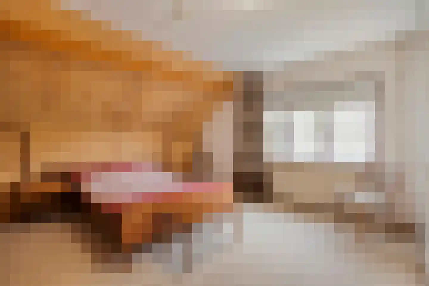 Peterswijk 3 Dedemsvaart thumbnail 25