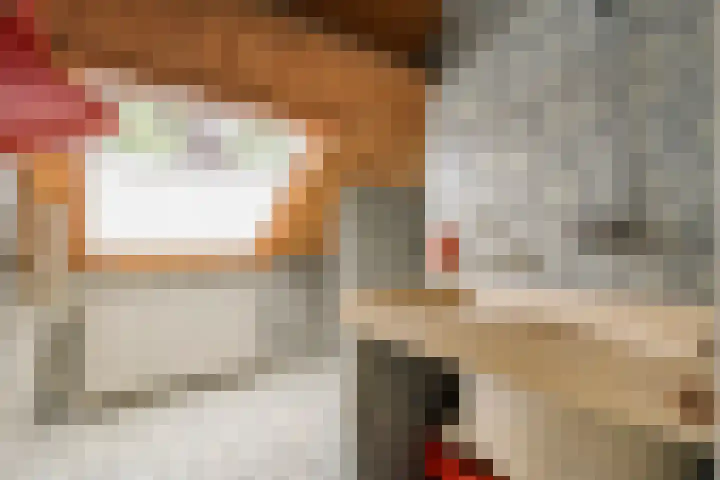 Peterswijk 3 Dedemsvaart thumbnail 31