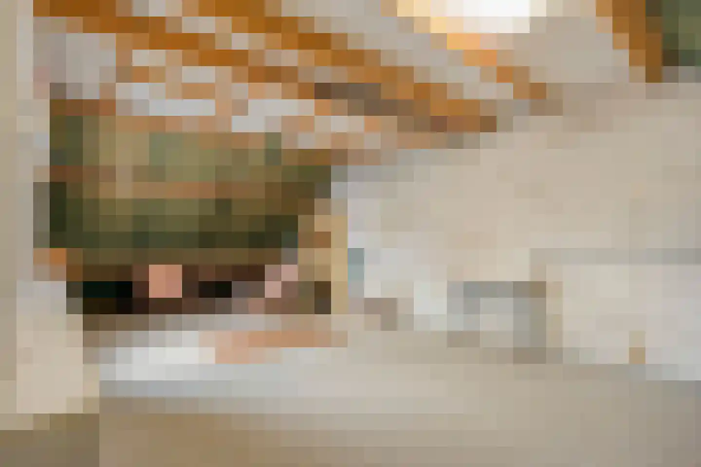 Peterswijk 3 Dedemsvaart thumbnail 33