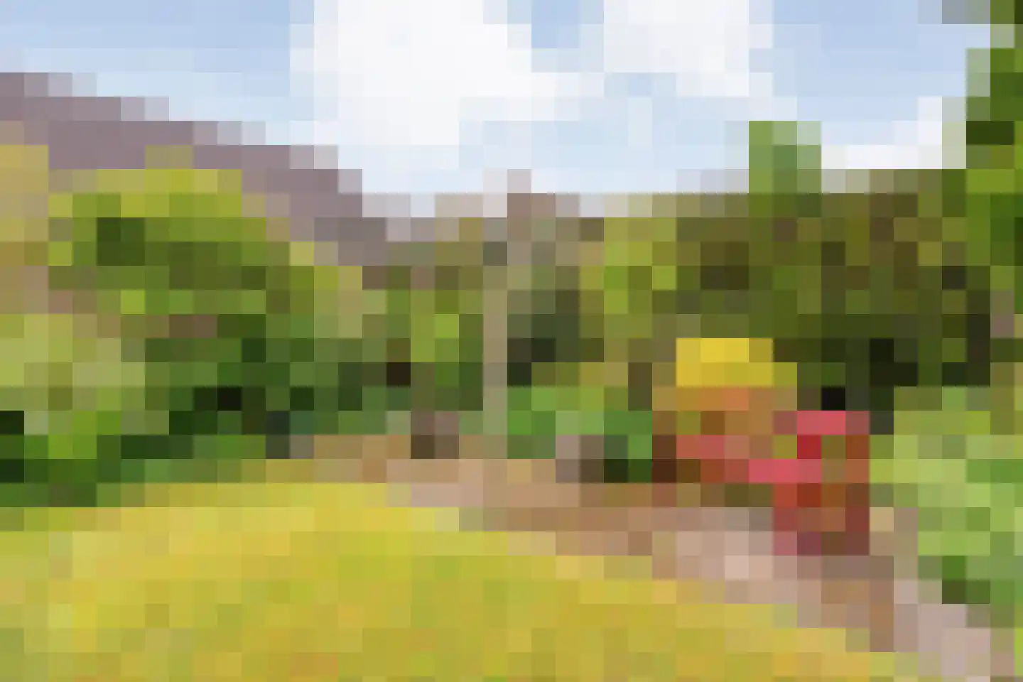 Peterswijk 3 Dedemsvaart thumbnail 37