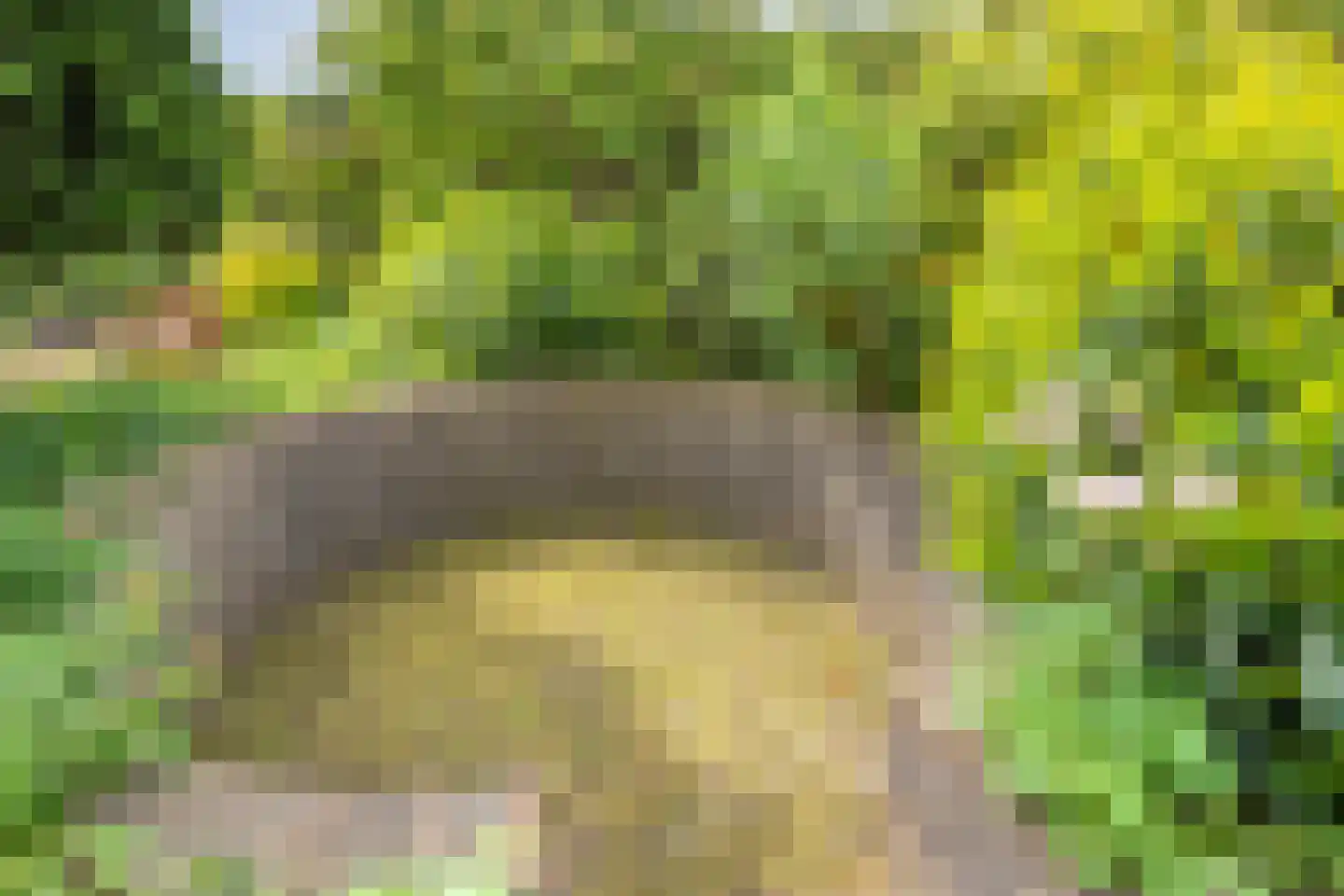 Peterswijk 3 Dedemsvaart thumbnail 39
