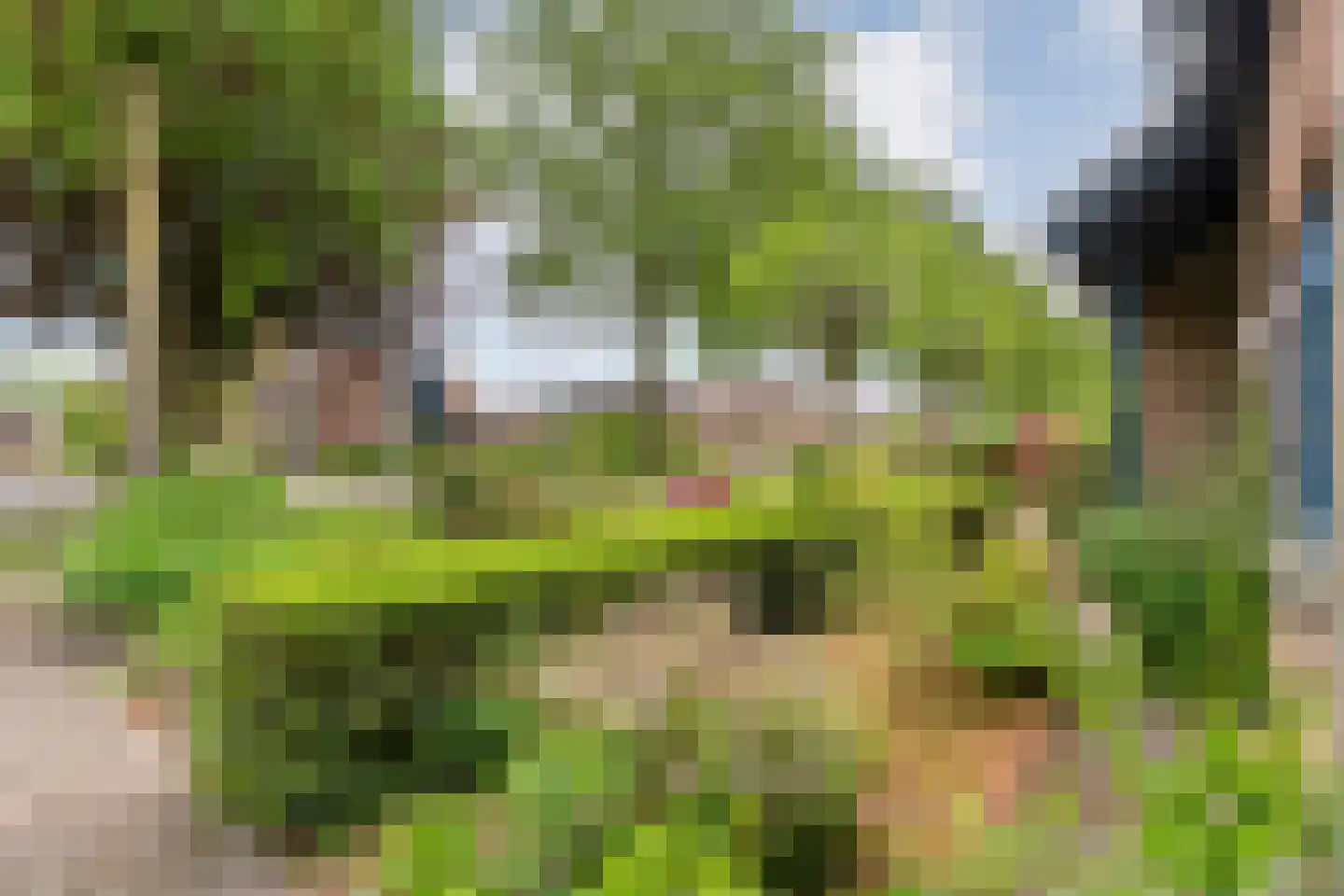 Peterswijk 3 Dedemsvaart thumbnail 4