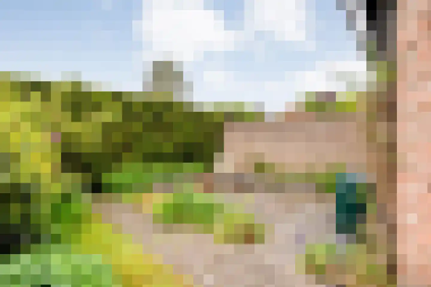 Peterswijk 3 Dedemsvaart thumbnail 41