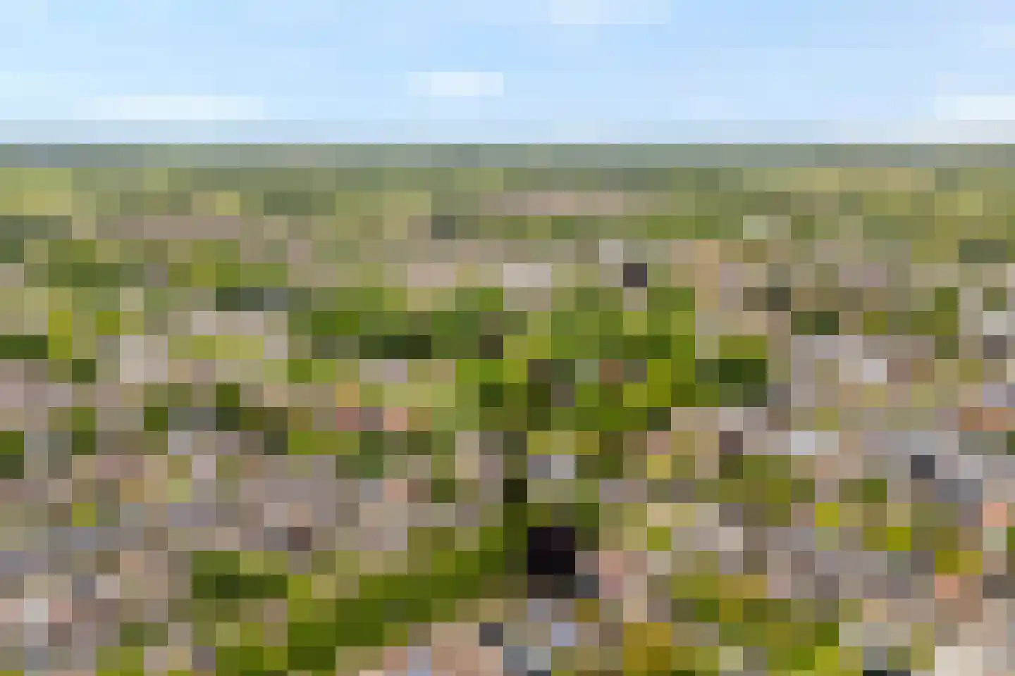 Peterswijk 3 Dedemsvaart thumbnail 45