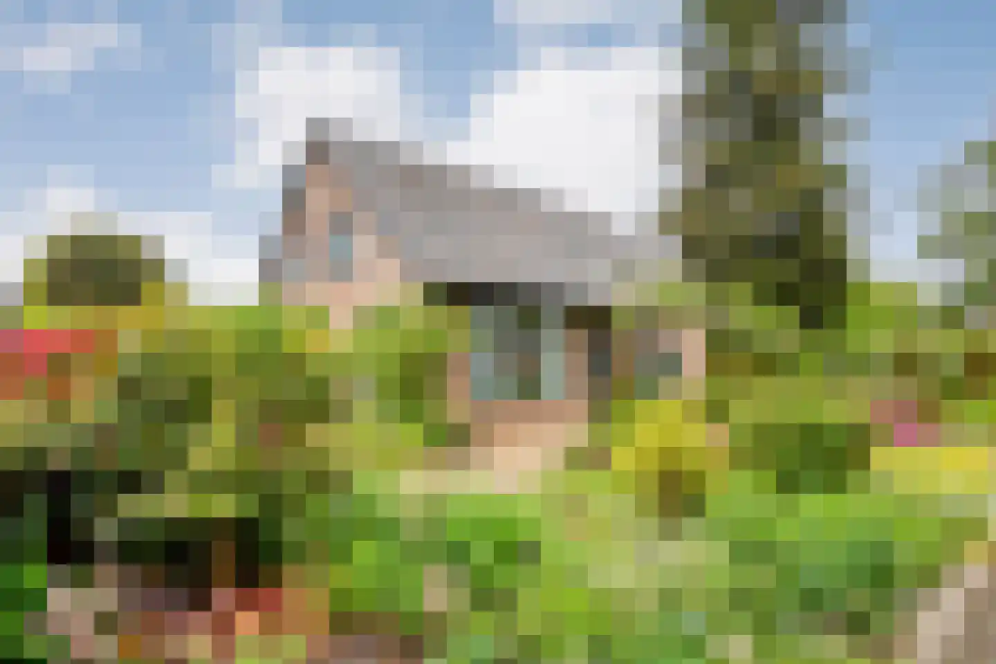 Peterswijk 3 Dedemsvaart thumbnail 5