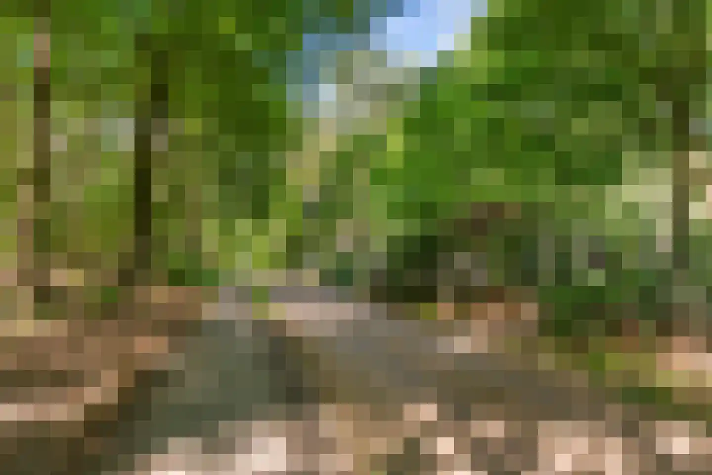 Peteweg 29 Ede thumbnail 101