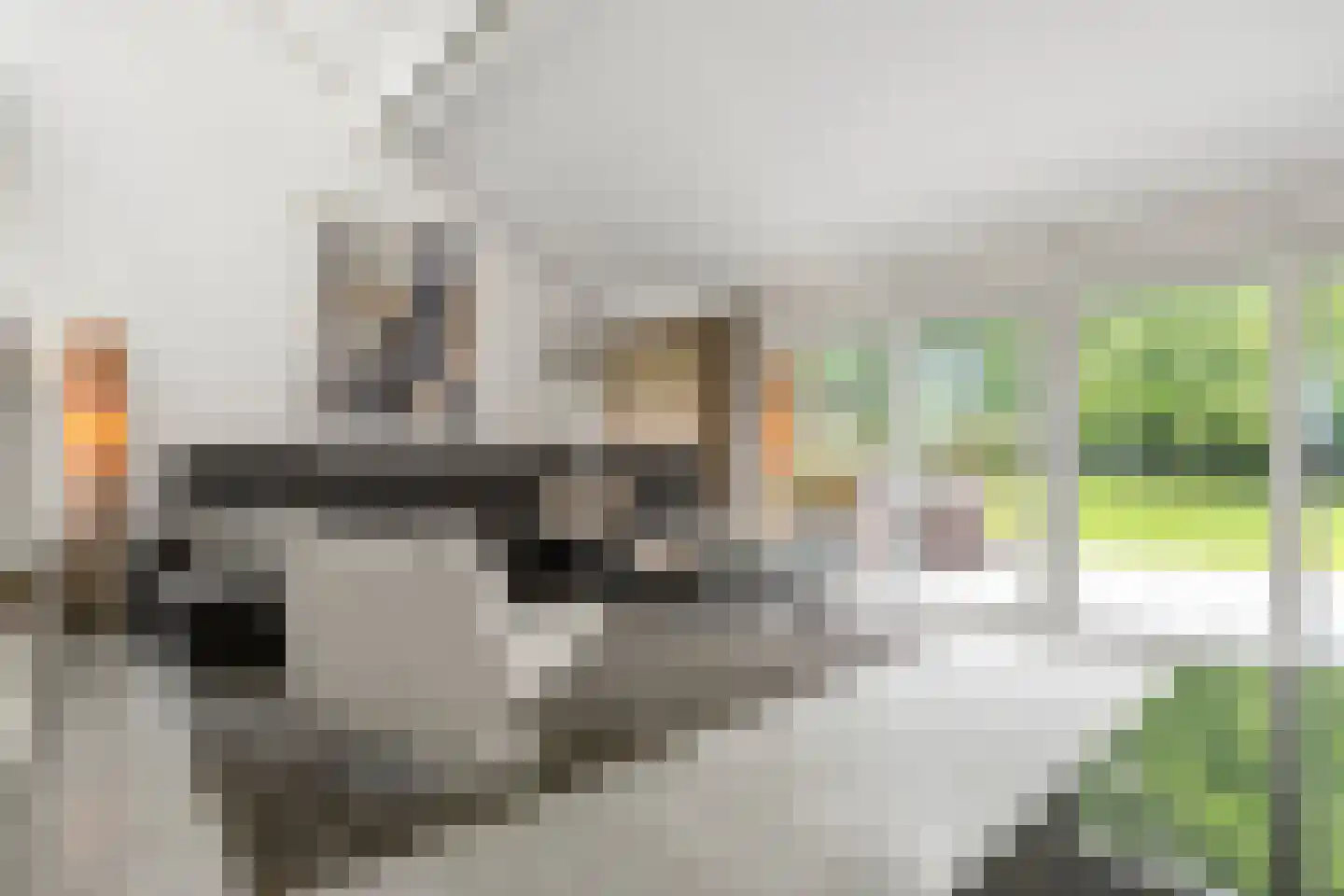 Peteweg 29 Ede thumbnail 18