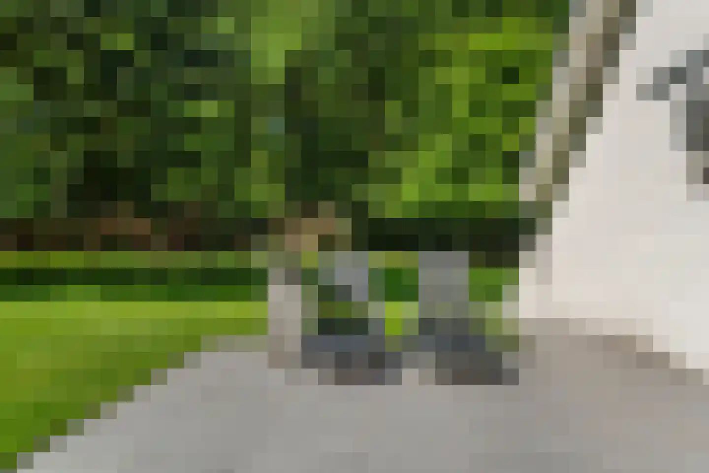 Peteweg 29 Ede thumbnail 65