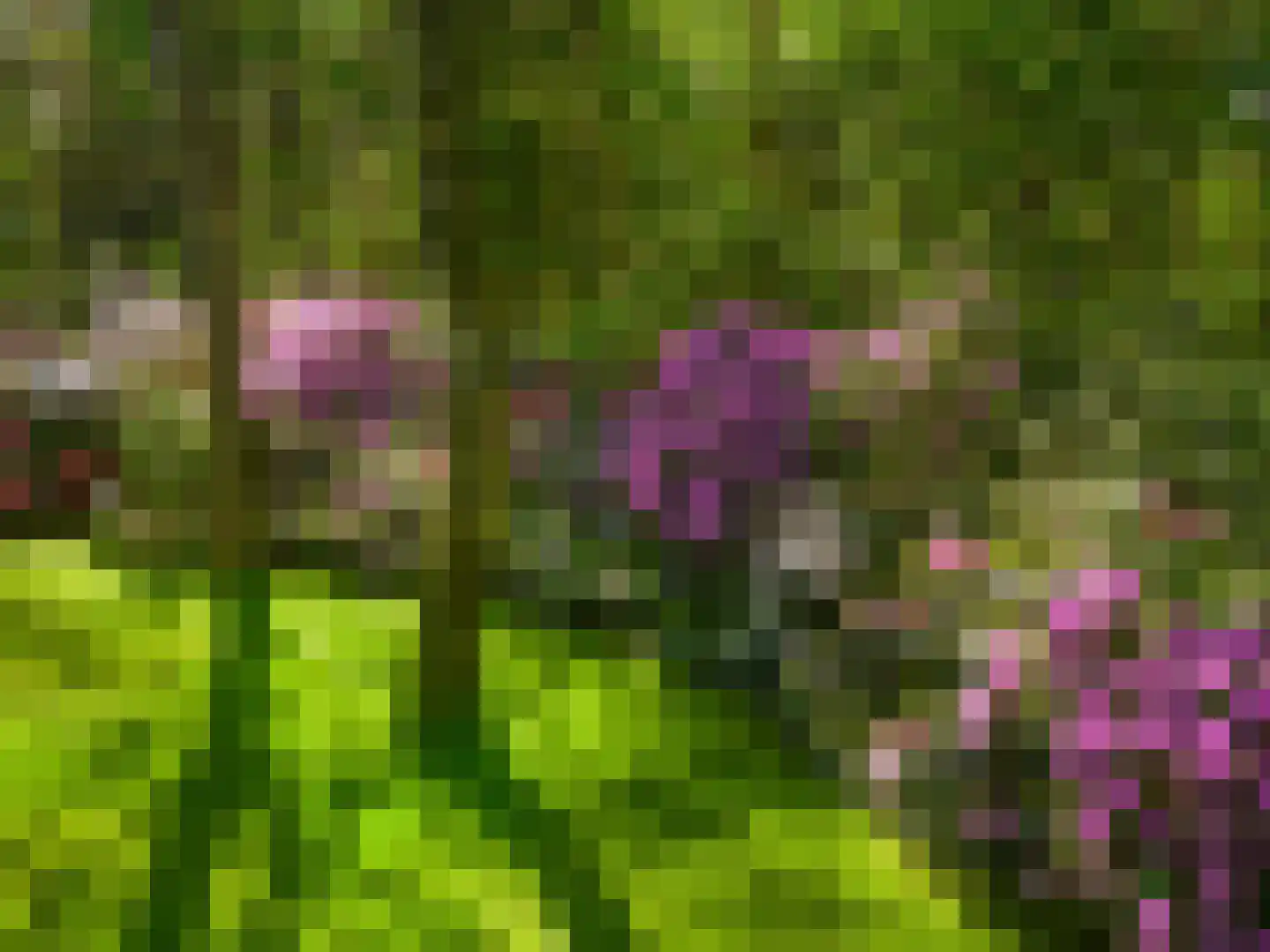 Peteweg 29 Ede thumbnail 71