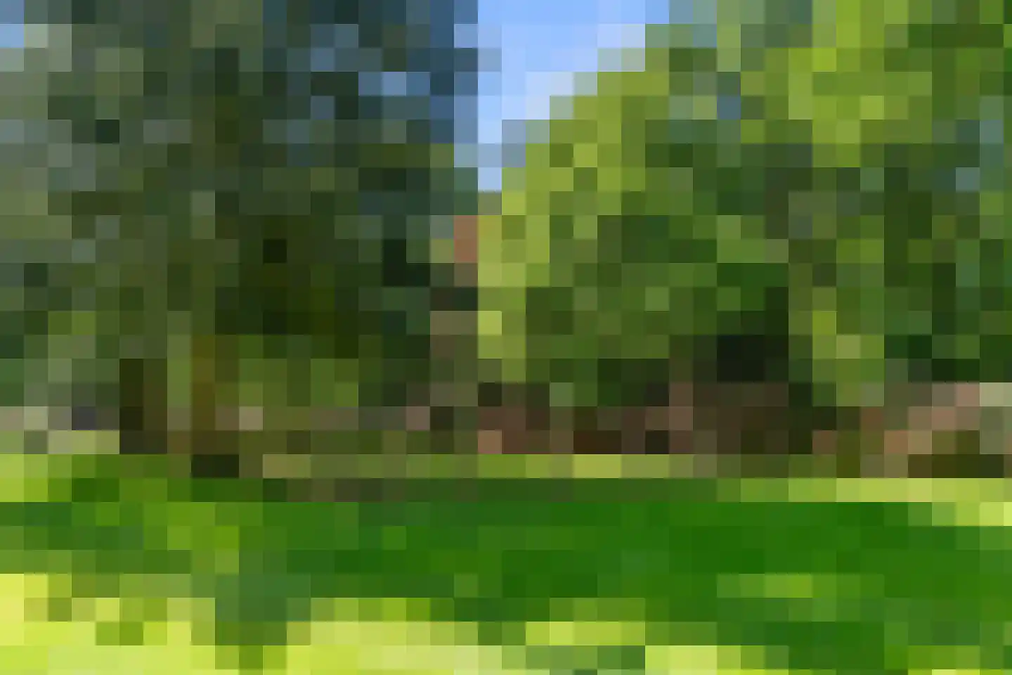 Peteweg 29 Ede thumbnail 72