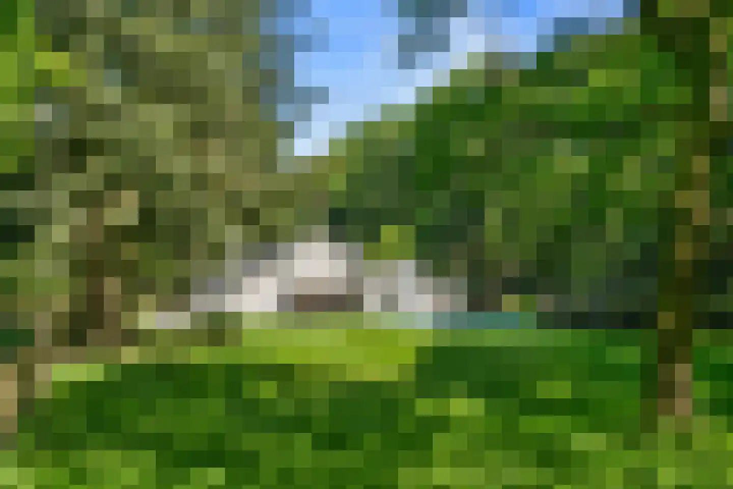 Peteweg 29 Ede thumbnail 86