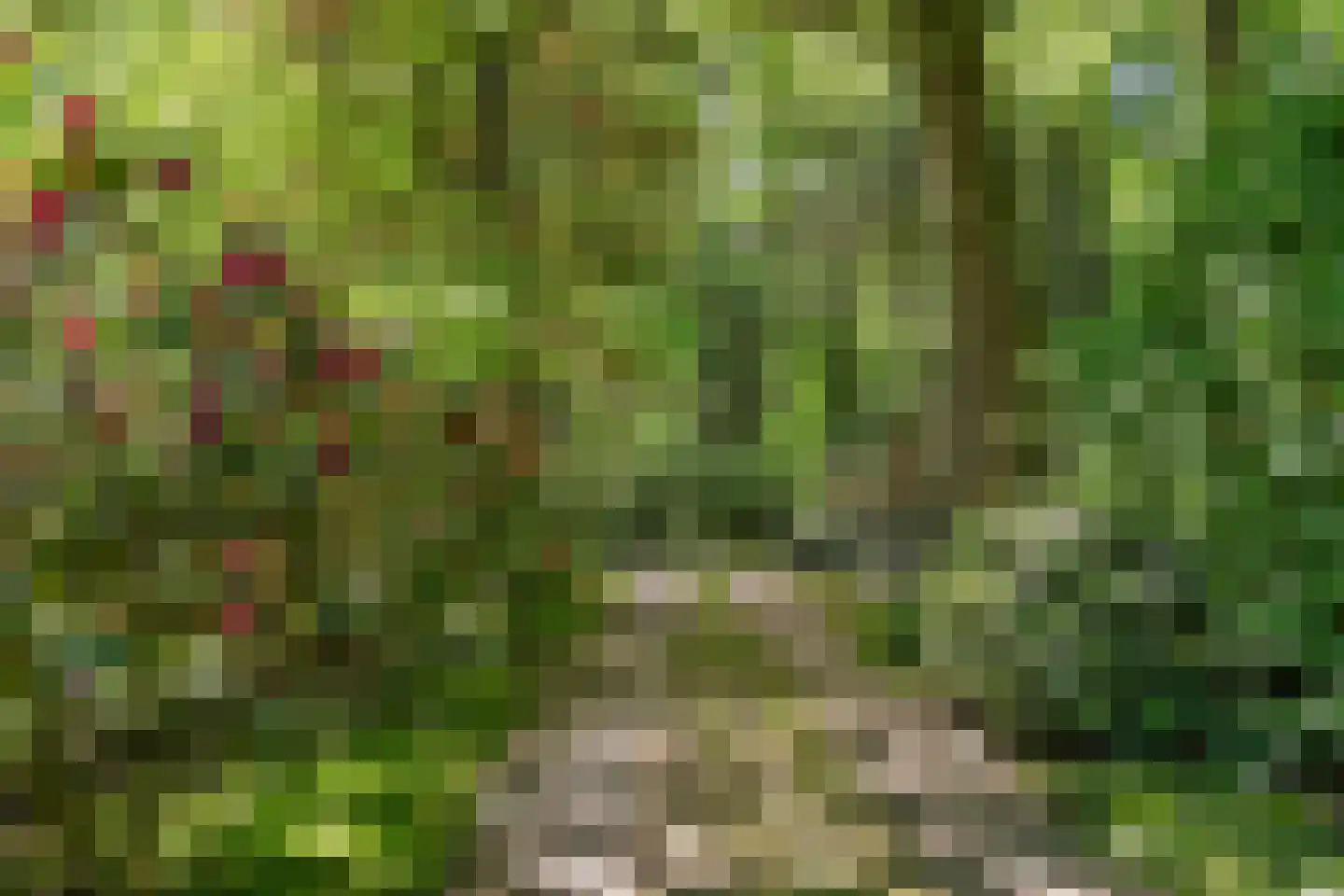 Peteweg 29 Ede thumbnail 91
