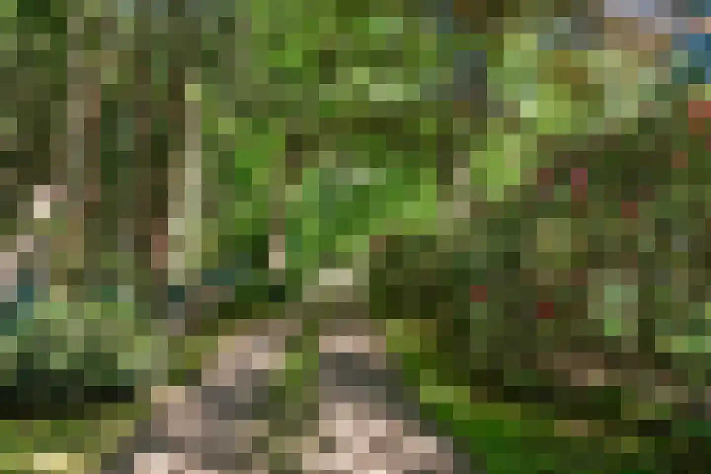 Peteweg 29 Ede thumbnail 92