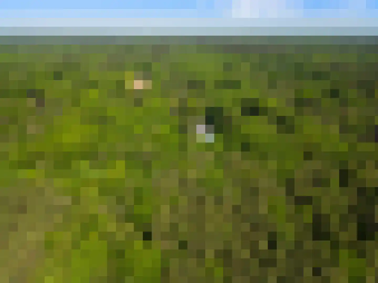 Peteweg 29 Ede thumbnail 99