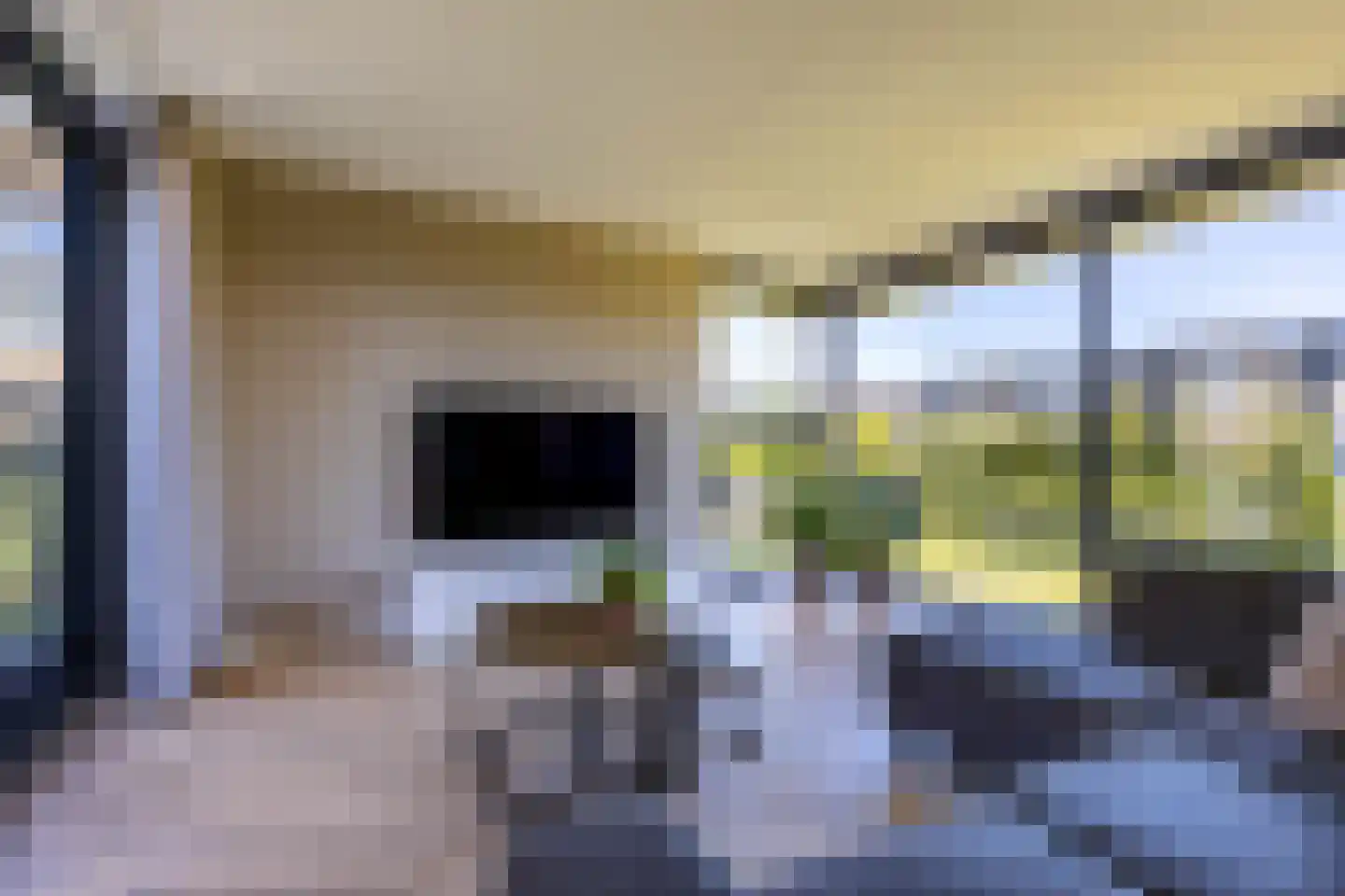 Petgat 12 Heerenveen thumbnail 20