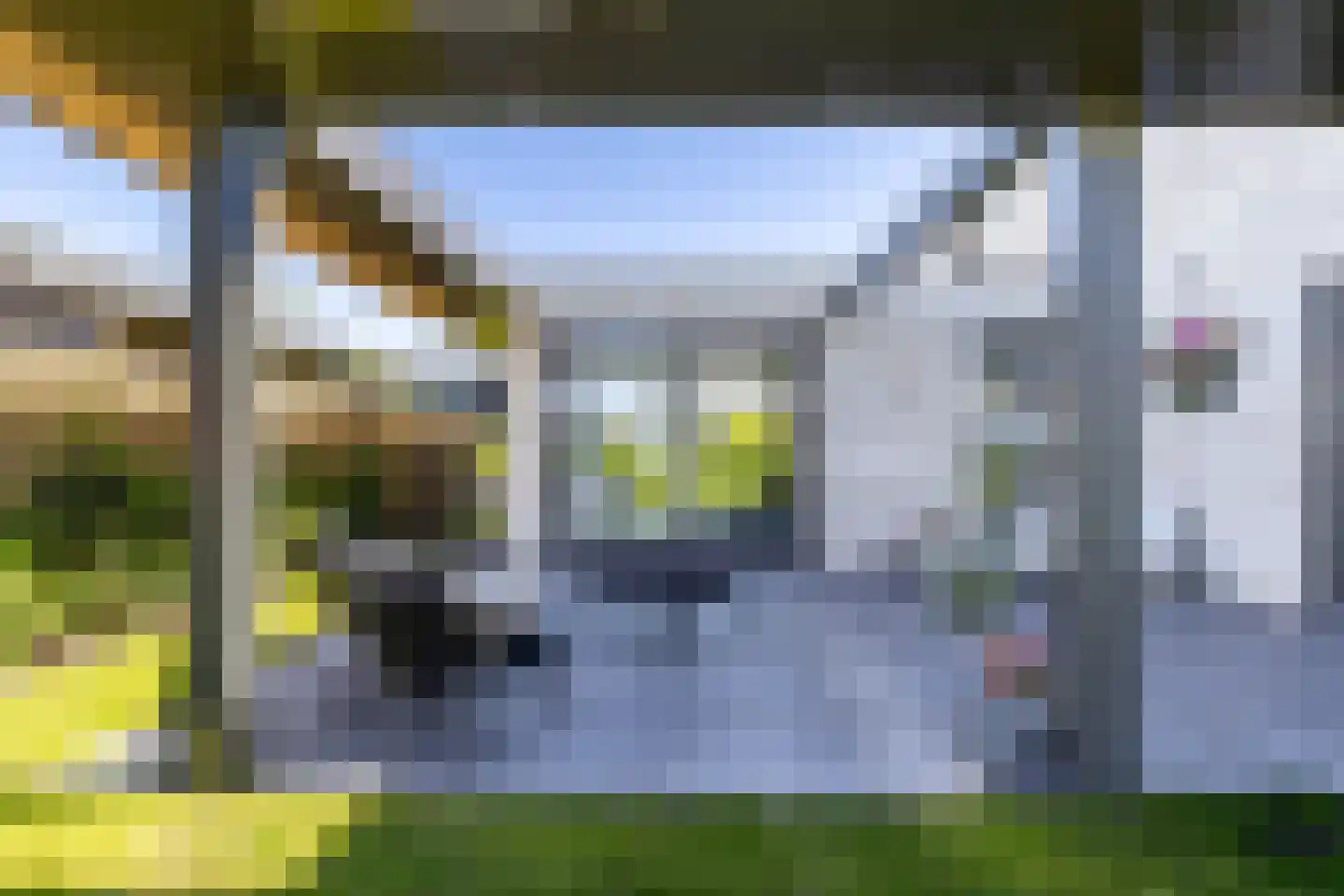 Petgat 12 Heerenveen thumbnail 27