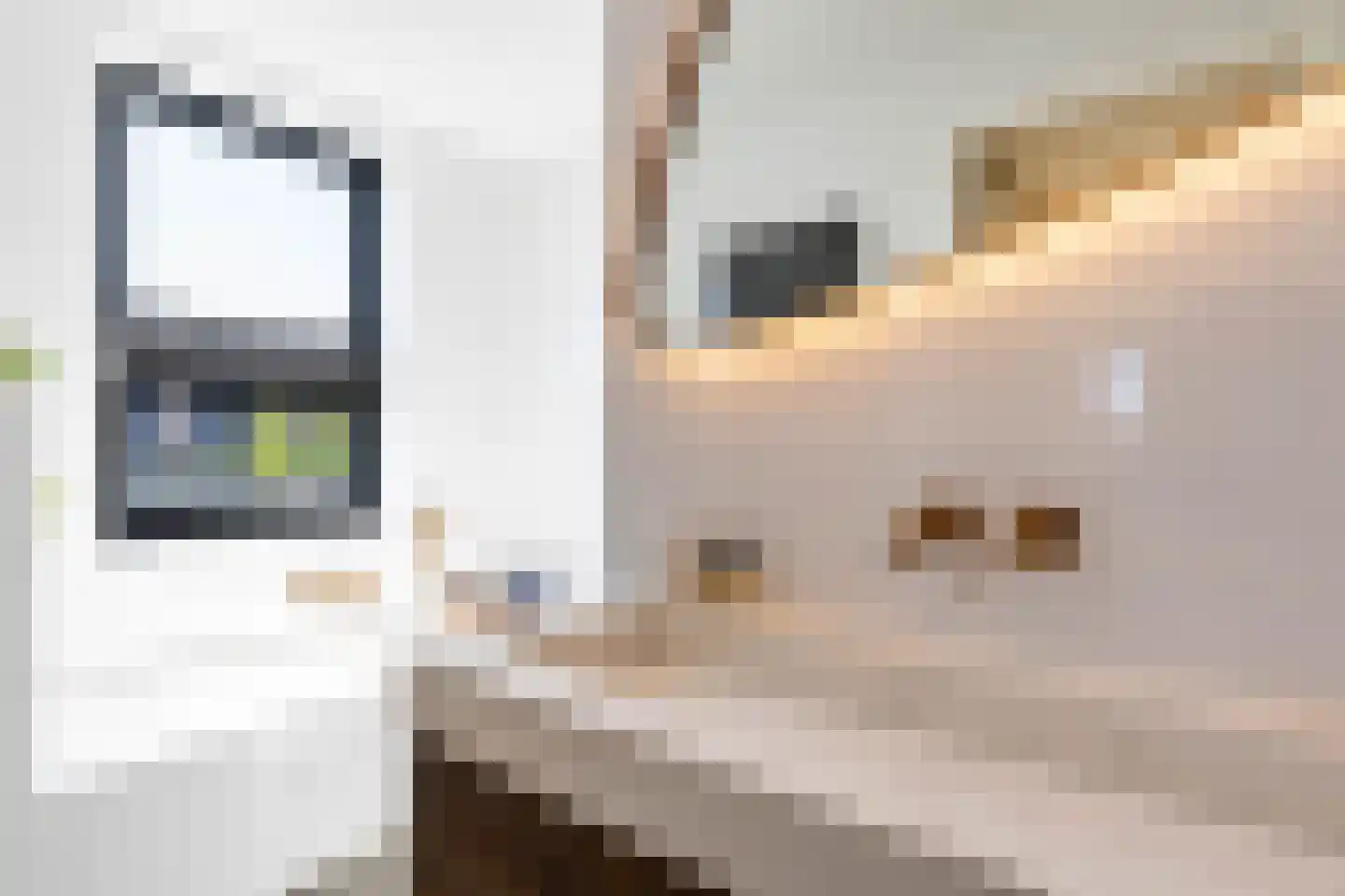 Petgat 12 Heerenveen thumbnail 40
