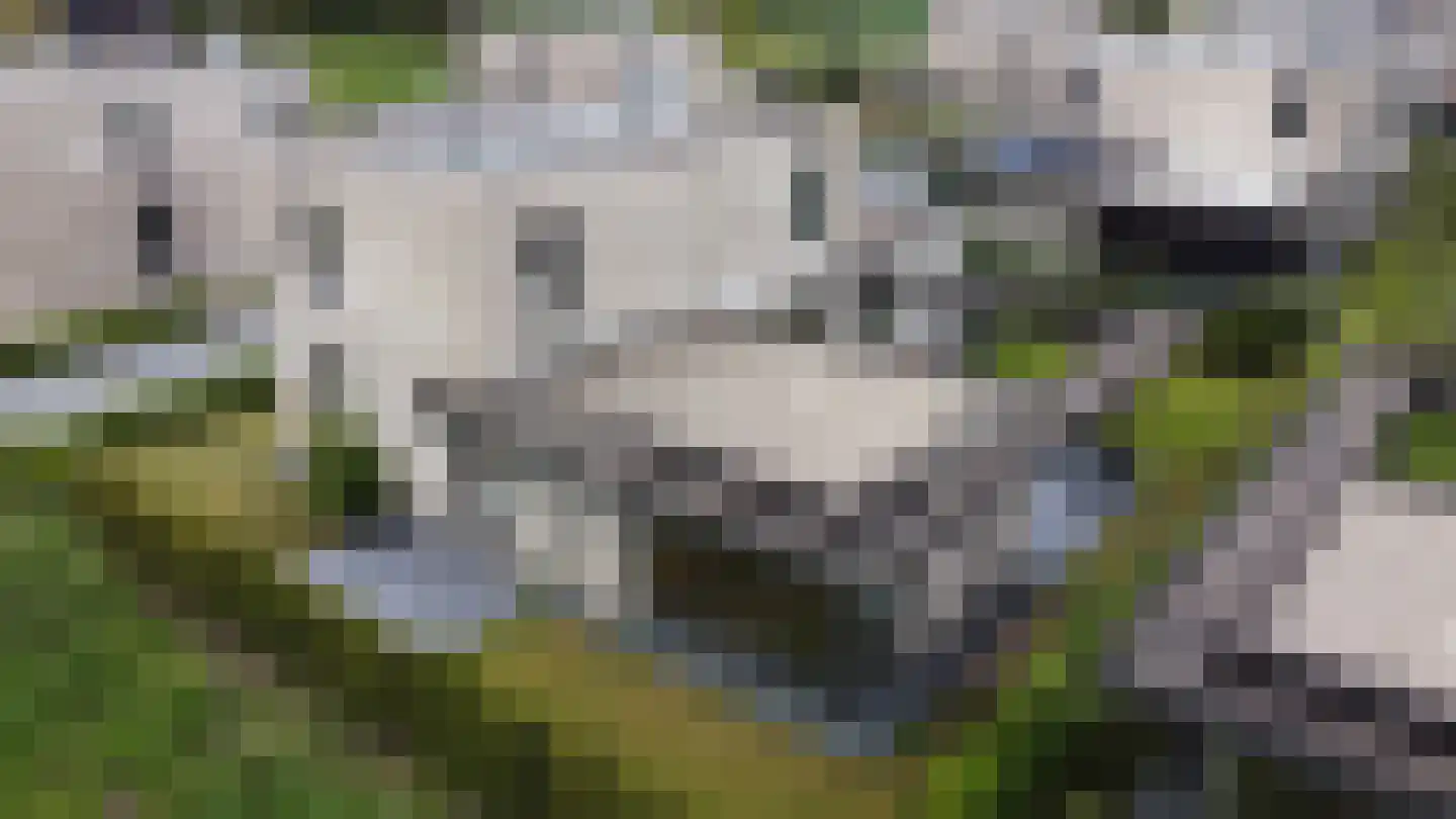 Petgat 12 Heerenveen thumbnail 47