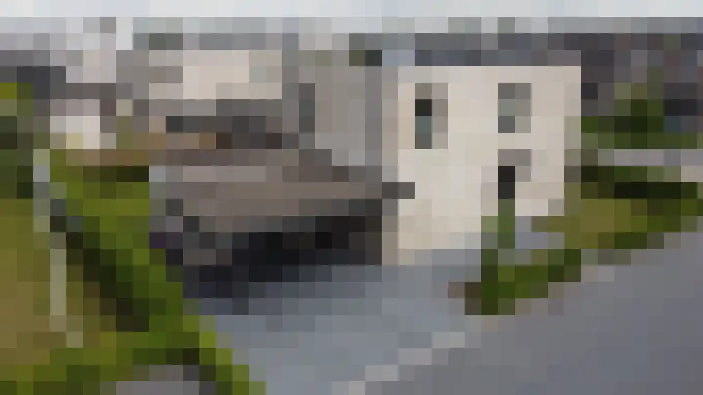 Petgat 12 Heerenveen thumbnail 48