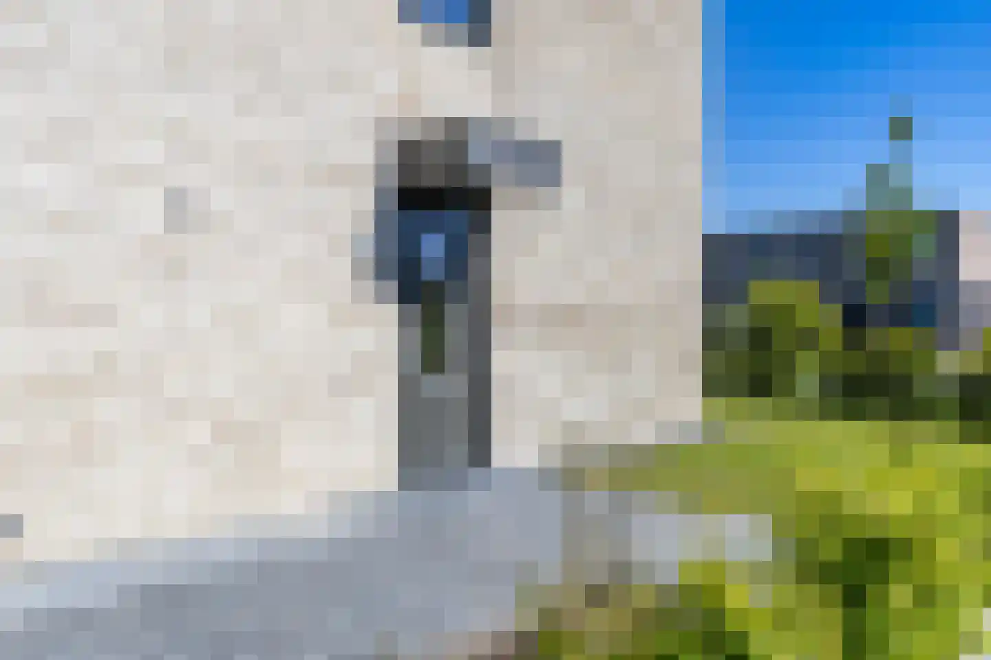 Petgat 12 Heerenveen thumbnail 5