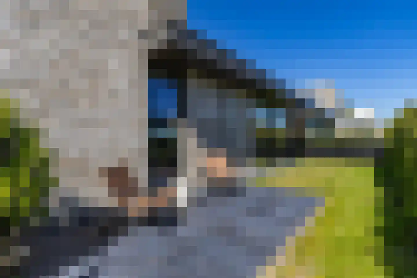 Petgat 12 Heerenveen thumbnail 6