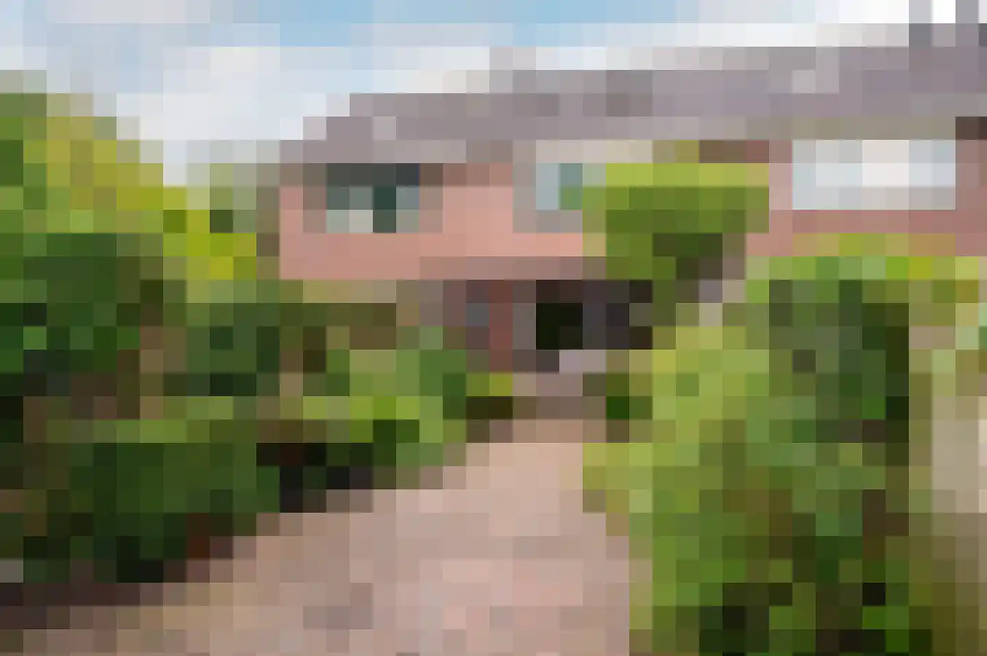 Petmolenstraat 16 Almere thumbnail 39