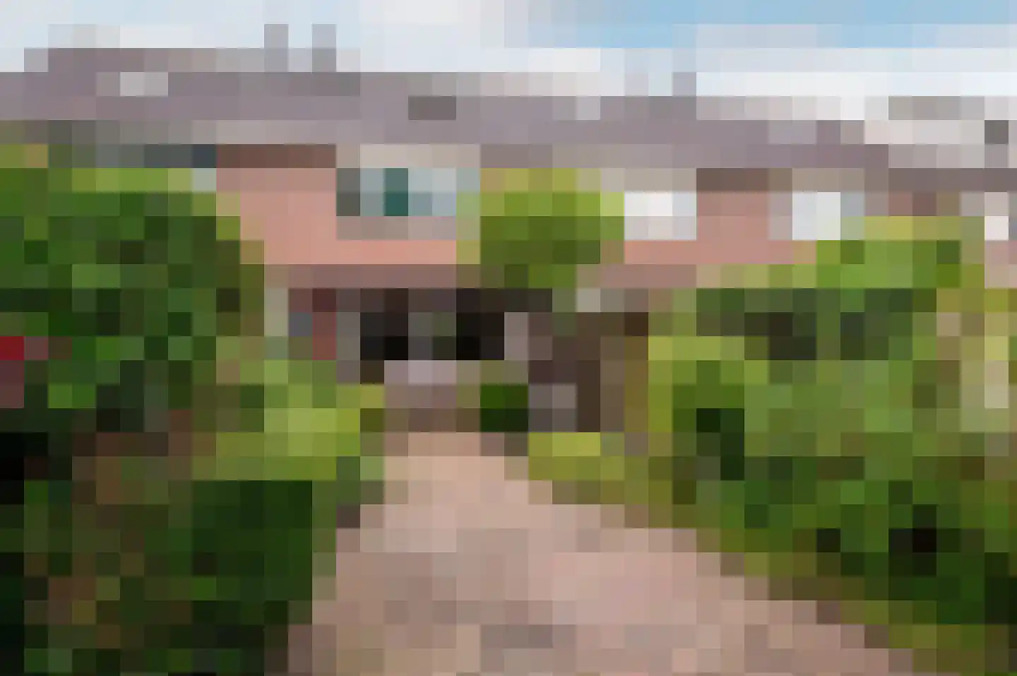 Petmolenstraat 16 Almere thumbnail 40
