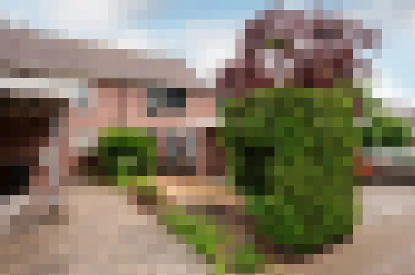 Petmolenstraat 16 Almere thumbnail 42