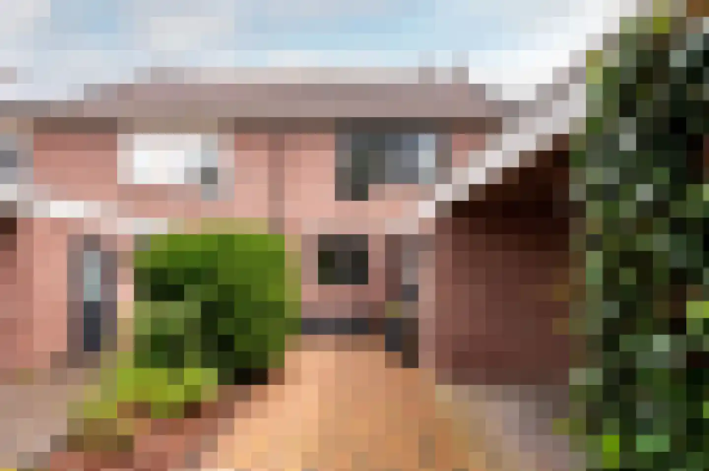 Petmolenstraat 16 Almere thumbnail 7