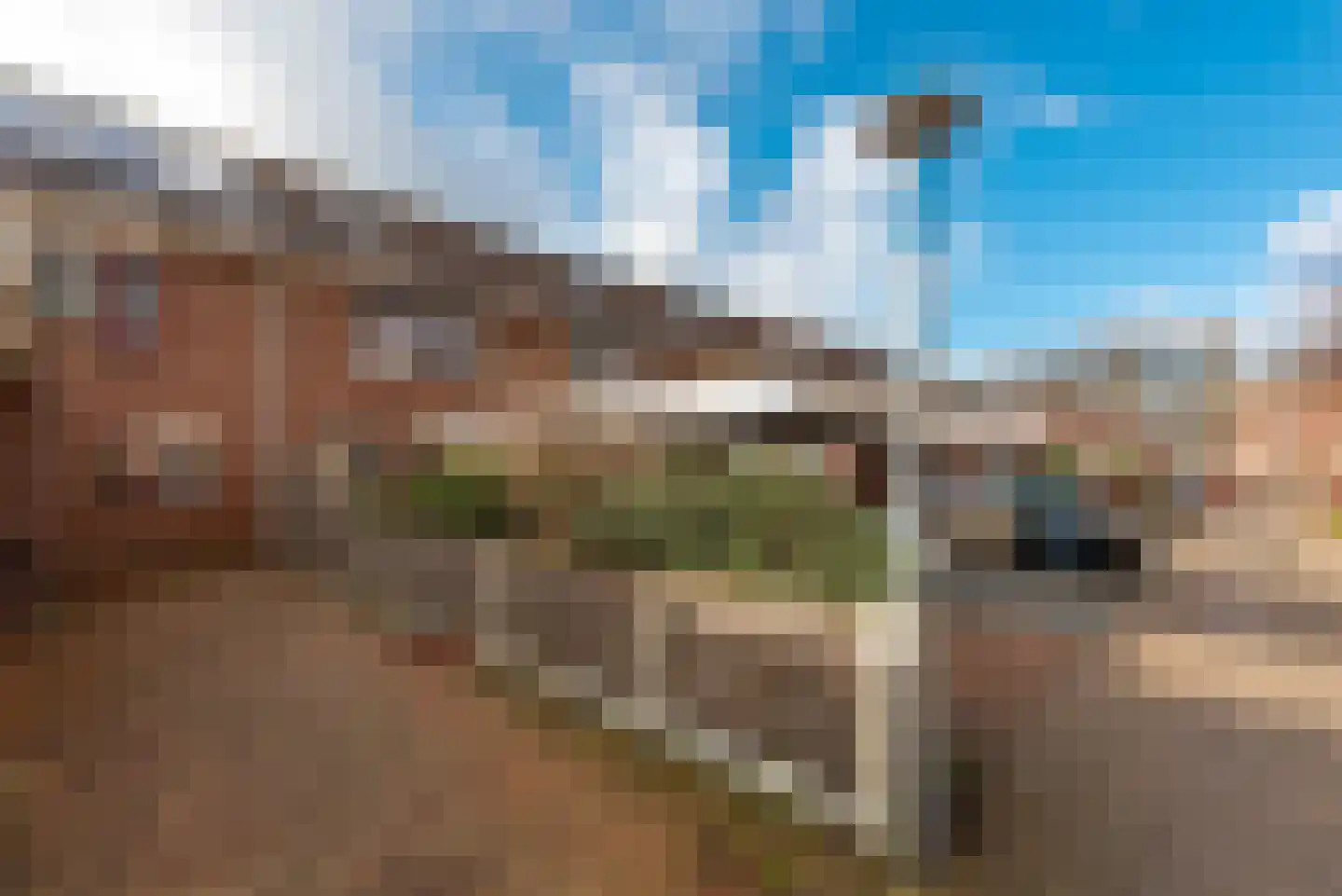 Petmolenstraat 17 Almere thumbnail 27