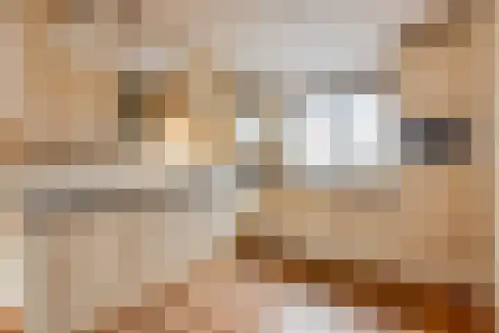 Petmolenstraat 17 Almere thumbnail 7