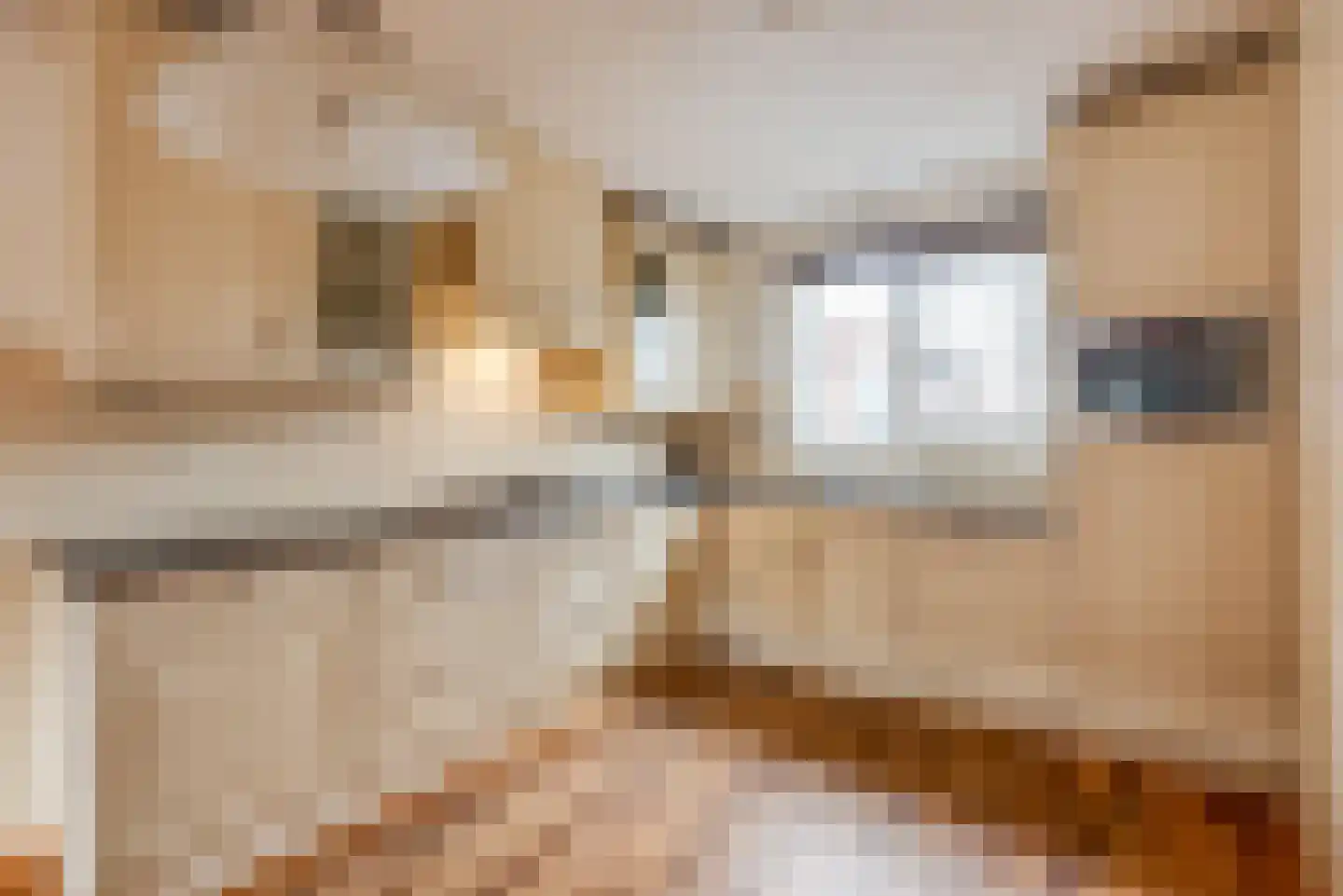 Petmolenstraat 17 Almere thumbnail 8