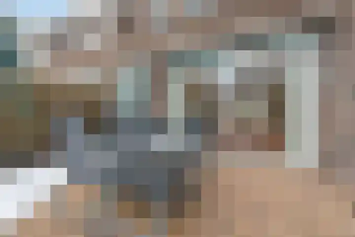 Petrarcalaan 36 Utrecht thumbnail 10