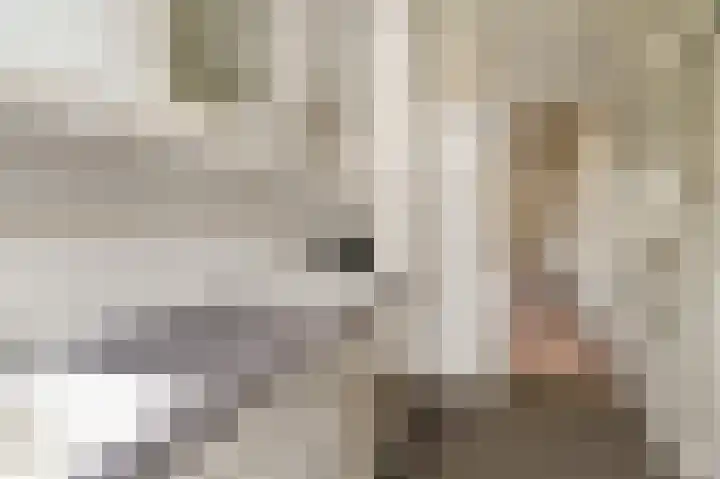 Petrarcalaan 36 Utrecht thumbnail 12