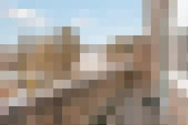 Petrarcalaan 36 Utrecht thumbnail 17