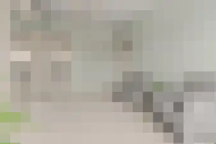 Petrarcalaan 36 Utrecht thumbnail 19