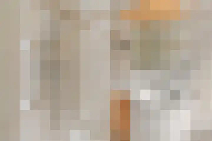 Petrarcalaan 36 Utrecht thumbnail 21