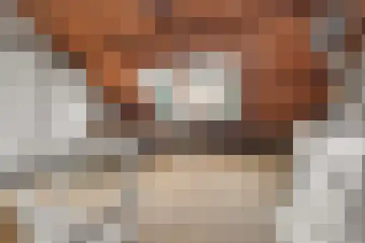 Petrarcalaan 36 Utrecht thumbnail 25
