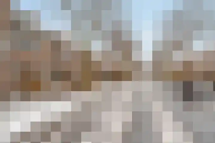 Petrarcalaan 36 Utrecht thumbnail 27