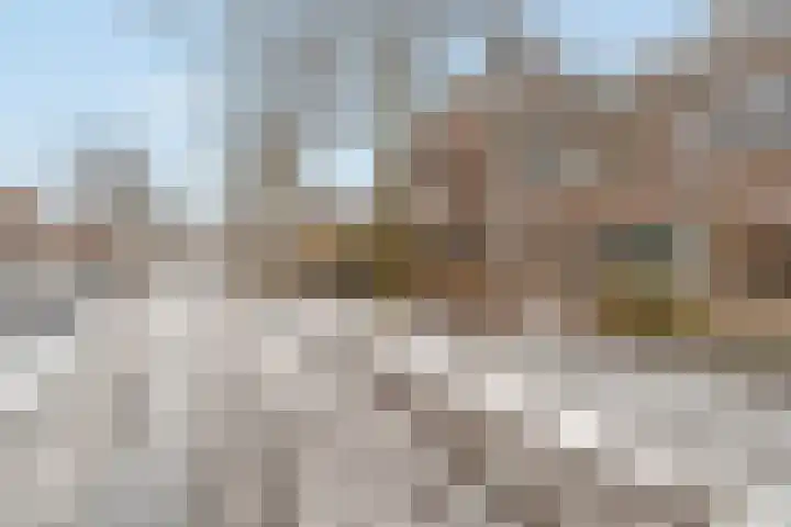 Petrarcalaan 36 Utrecht thumbnail 28