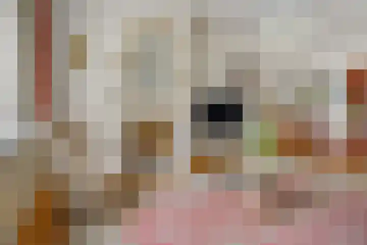 Petrarcalaan 36 Utrecht thumbnail 5