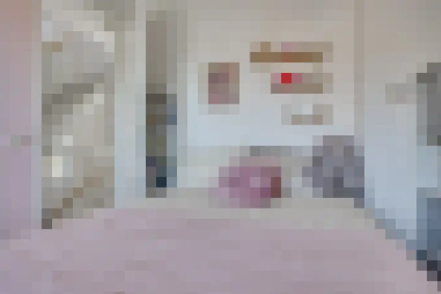 Petri Markensteinstraat 1 Leusden thumbnail 18