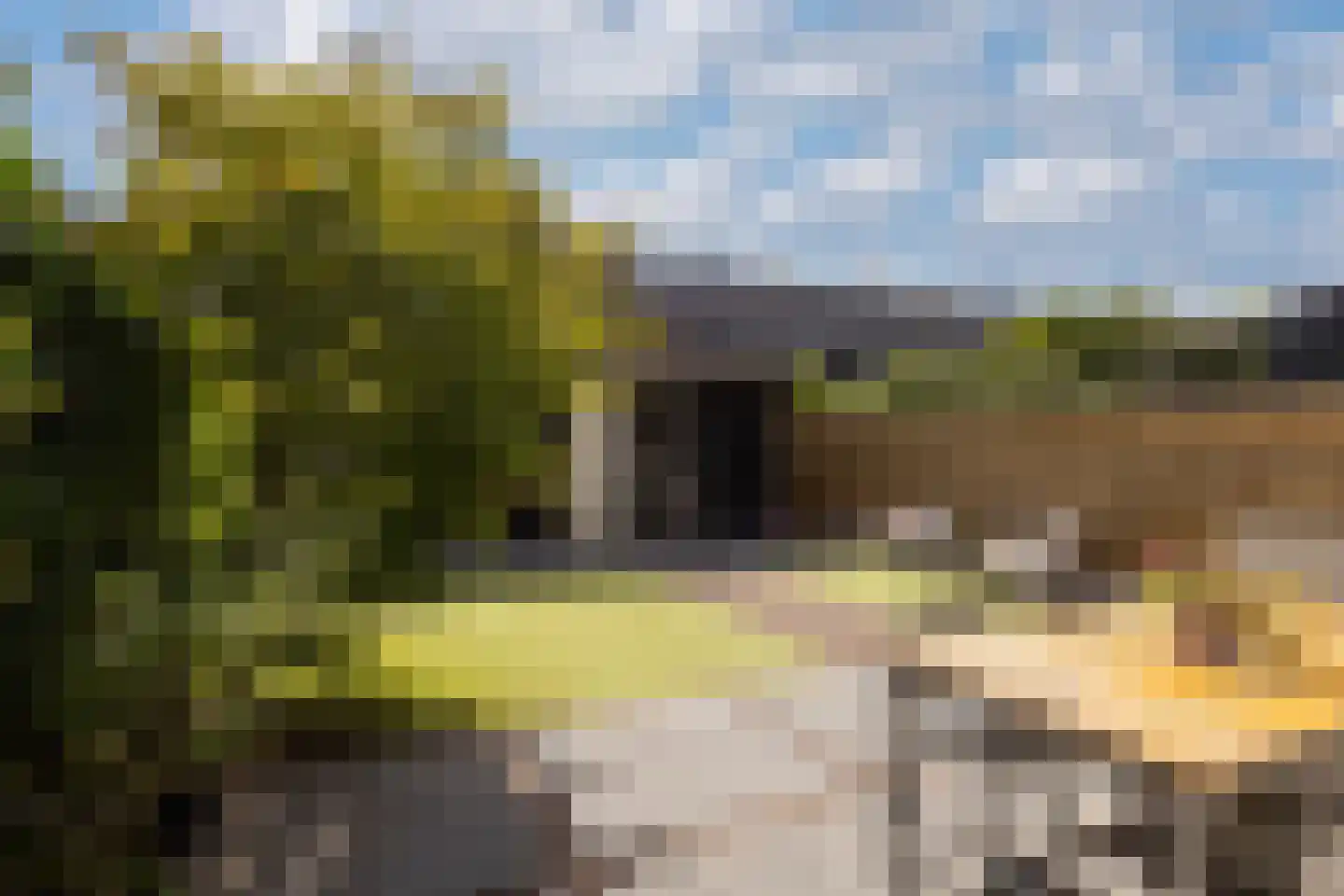 Petri Markensteinstraat 1 Leusden thumbnail 30
